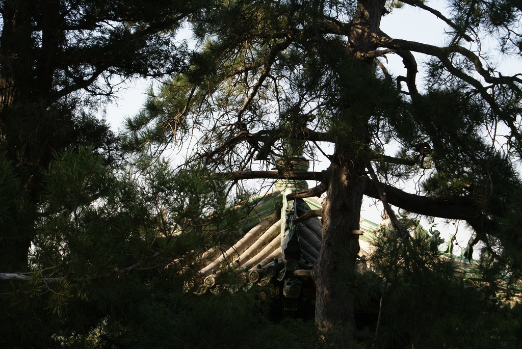 2010-10 China/Beijing/DSC01961.JPG